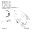 Desiderata (Javier Portilla & Sotela Remix) - Ido&Tara Brooks&Sotela&Javier Portilla