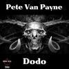 Dodo (Original Mix) - Pete Van Payne