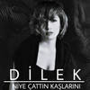 Niye Çattın Kaşlarını - Dilek&Neset Ertas