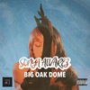 Big Oak Dome - Sonya Alvarez