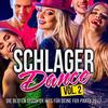 Aber dich gibts nur einmal für mich - DJ Schlager