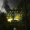 Seen (feat. Veronica Bravo) (Ponzoo Remix) - Anikdote&The FifthGuys&Ponzoo&Veronica Bravo
