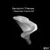 The Amygdala (Original Mix) - Serotonin Thieves