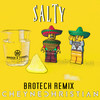 Salty (Brotech Remix) - Cheyne Christian&Brotech