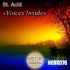 Voices Inside (Original Mix) - St. Acid