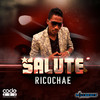 Salute (Instrumental) - MillBeatz Entertainment
