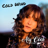 Cold Wind (Radio Edit) - Aly Cook&Kay Bidstrup&Buzz Bidstrup