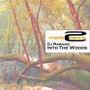 Into The Woods (Original Mix) - DJ Rabano