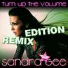 Turn Up the Volume (Tobbaz Remix) - Sandra Gee