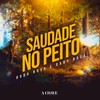 Saudade no Peito - Duda Rosa&Dany Bala