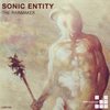 Rainmaker - Sonic Entity