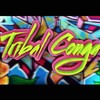 Tribal Conga - Dj Esli&Darek Sotelo