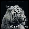 Fight - BeatBrothers