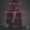 The Function (Radio Edit) - CID&Sage Armstrong