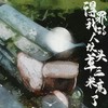 得罪我的人坟头草三米高了 - Mr.岑&五色石南叶