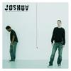 Alligator City Blues - Joshua