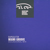 Rapidgator (Occasional Mix) - Miami Groove