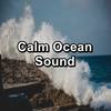 Sleepy Sea Sounds With White Noise To Loop for 24 Hours - Nature Sounds Radio&Echoes of Nature&Sleep Music