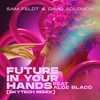 Future In Your Hands (feat. Aloe Blacc) (Skytech Remix) - Sam Feldt&David Solomon&Aloe Blacc