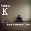 Keys in Tokyo (Mj Remix) - Stepa K&Anja