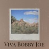 Viva Bobby Joe - Equals