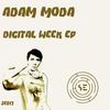 Free (Original Mix) - Adam Moda