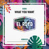 What You Want (Radio Edit) - Kiido