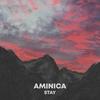 Stay - Aminica