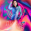 Дикая Ночь - Polina Krupchak&Таборовская Ольга Анатольевна