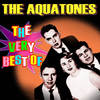 For You, For You - The Aquatones