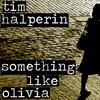 Something Like Olivia - Tim Halperin