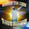 Under The Sun (Explicit) - Bigg Bravo