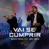 Vai Se Cumprir(feat. Davi Sacer) (Ao Vivo) - Wesley Assis&Davi Sacer