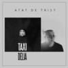 Atat de trist (Radio Edit) - taxi&Delia&Dan Teodorescu