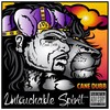 Mortal Kombat Rap (Explicit) - Cane Dubb&QB