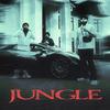 Jungle (feat. Inderpal Moga) - Chani Nattan&BK&Inderpal Moga