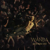 Meine beiden Schwestern (Live) - Wanda