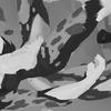 Fallen World - Jasper Malone&Trifect&Tenkitsune&Trinh Nhat Quang&Tristan Wong