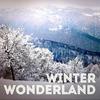 Sleigh Ride - The Candy Canes