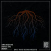 Midnight (Chris Brooks Remix) - Tomas Bisquierra&Hightech&Chris Brooks