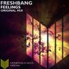 Feelings (Original Mix) - Freshbang