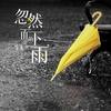 忽然而下的雨 - 符禹迅