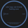 Feeling Love - Lalo Leyy&Lee Graves