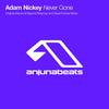 Never Gone (Sequentia Remix) - Adam Nickey