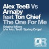 Spring Drops (Original Mix) - Alex TeeB