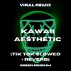 Kawaii Aesthetic (Tik Tok Slowed + Reverb) (Remix) - Green Neon DJ