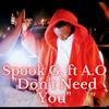 Don't Need You (Explicit) - Spook G.