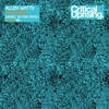 Polarize (Daniel Skyver Remix) - Allen Watts