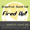 Fired Up - Grapefruit Sound Lab&Obama&Childs