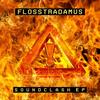 BYB (Bounce & Break Your Back) - Flosstradamus&Ricky Remedy